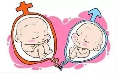生殖内分泌专家